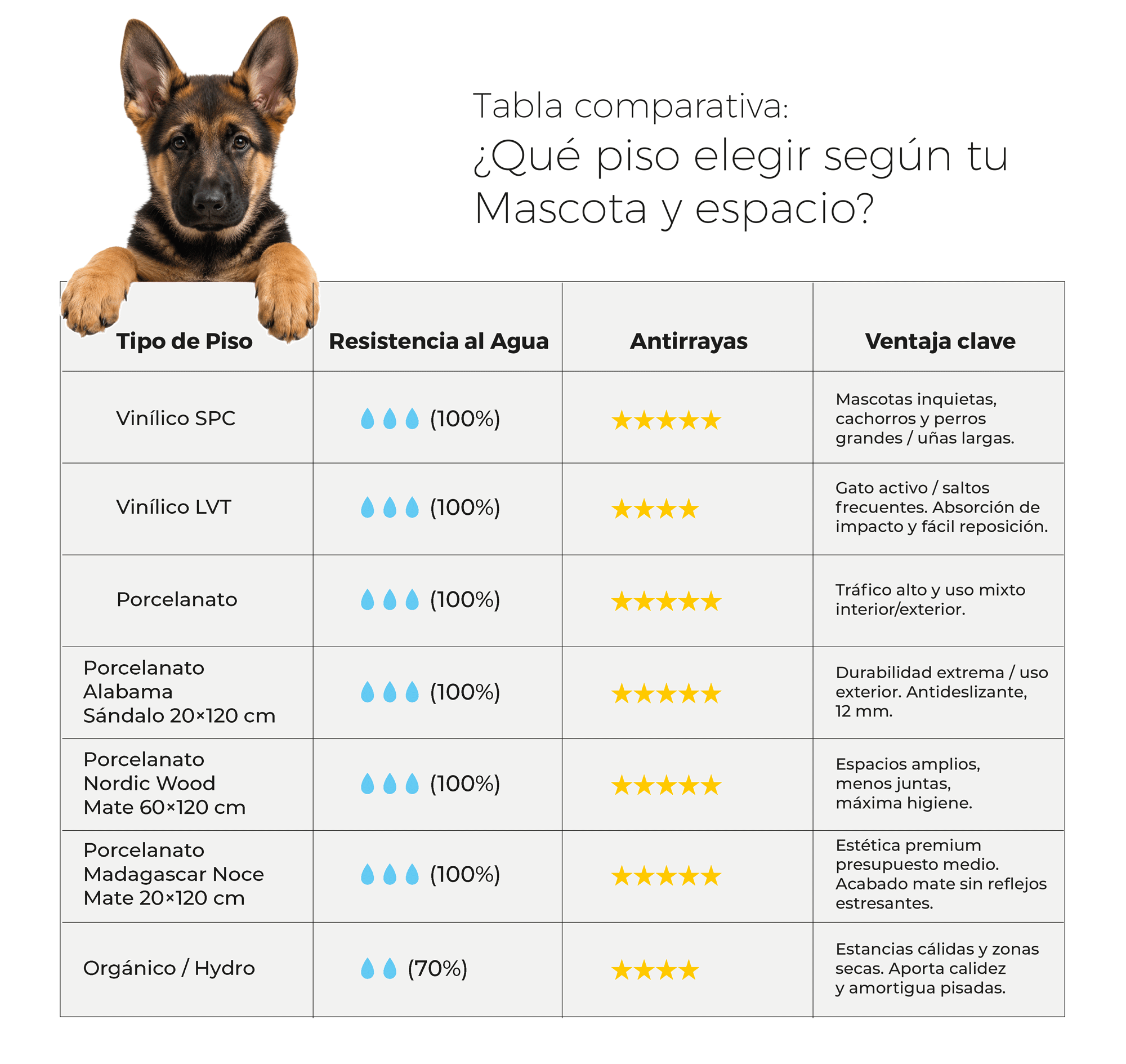 5-blog chc-pet-friendly-infografía